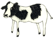 beef